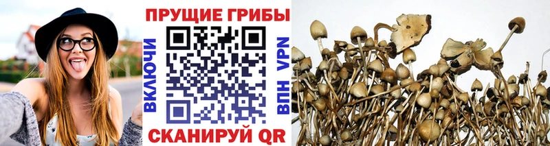 Купить закладки  Горячий Ключ  Галлюциногенные грибы Magic Shrooms 