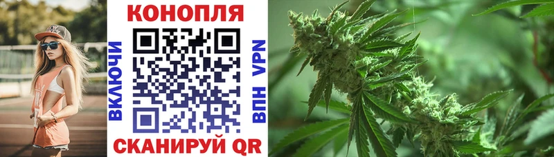 Канабис Bruce Banner  Купить где  Горячий Ключ 